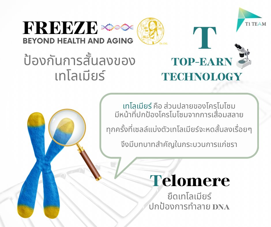 เทโลเมียร์