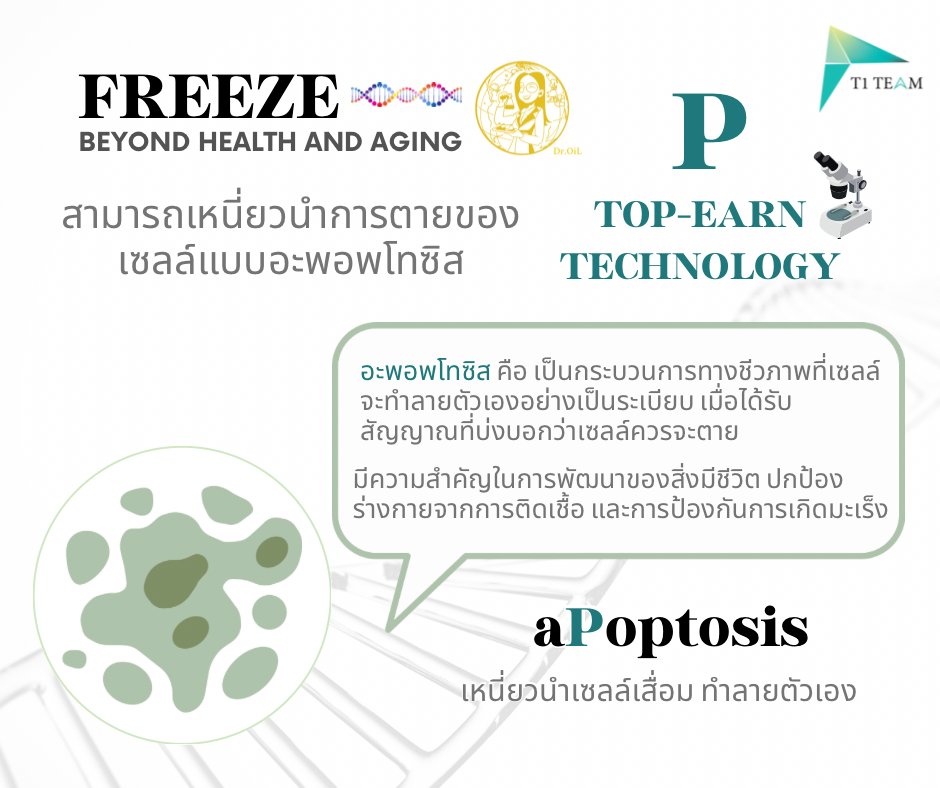 เหนี่ยวนำเซลล์เสื่อมทำลายตัวเอง